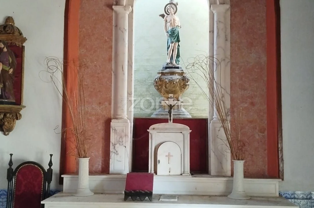 Negócio para Venda em Abrunhosa-A-Velha Foto 54