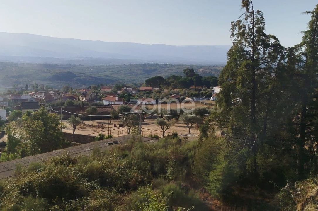 Negócio para Venda em Abrunhosa-A-Velha Foto 59