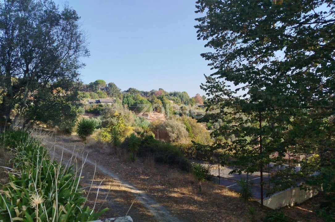 Negócio para Venda em Abrunhosa-A-Velha Foto 56