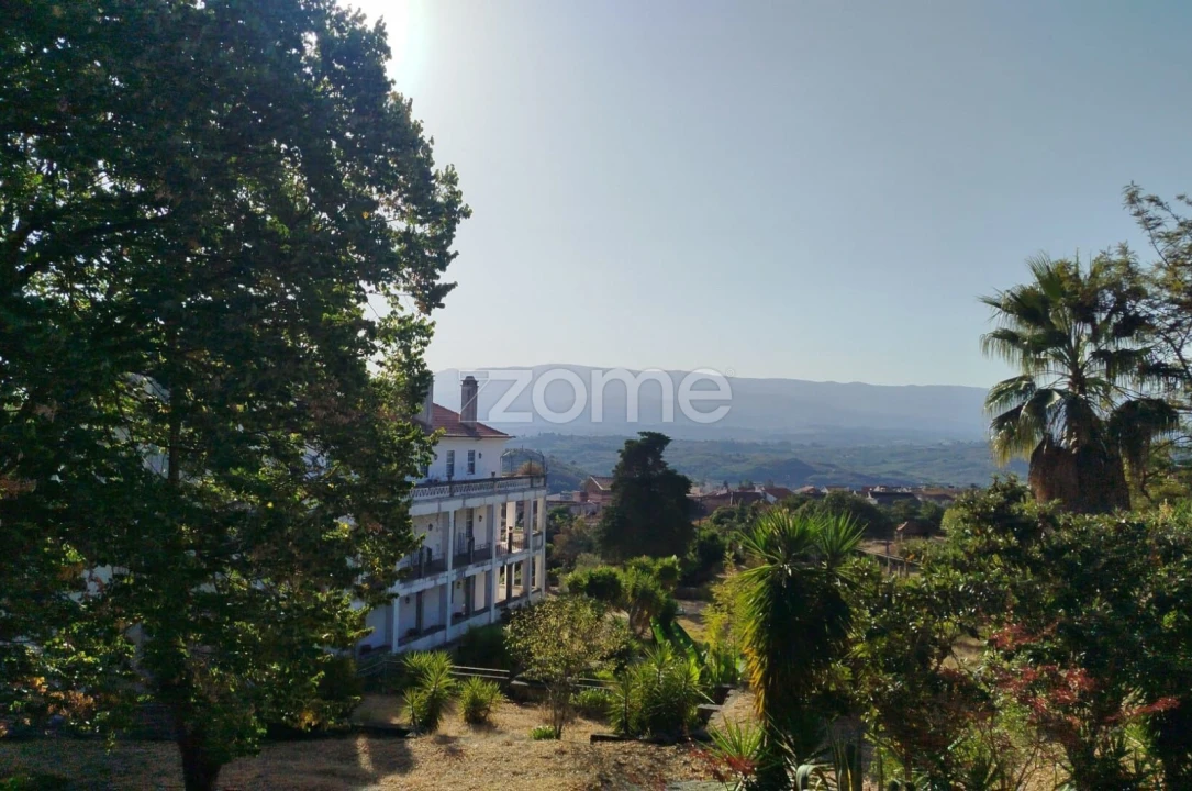 Negócio para Venda em Abrunhosa-A-Velha Foto 3