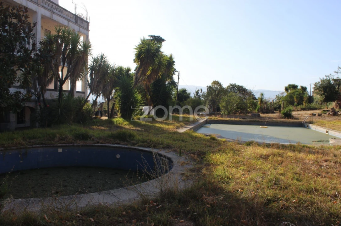 Negócio para Venda em Abrunhosa-A-Velha Foto 35