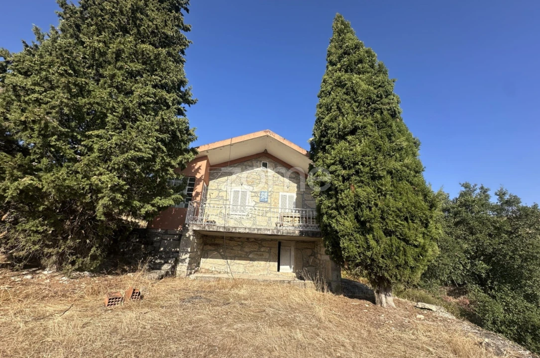 Negócio para Venda em Abrunhosa-A-Velha Foto 57