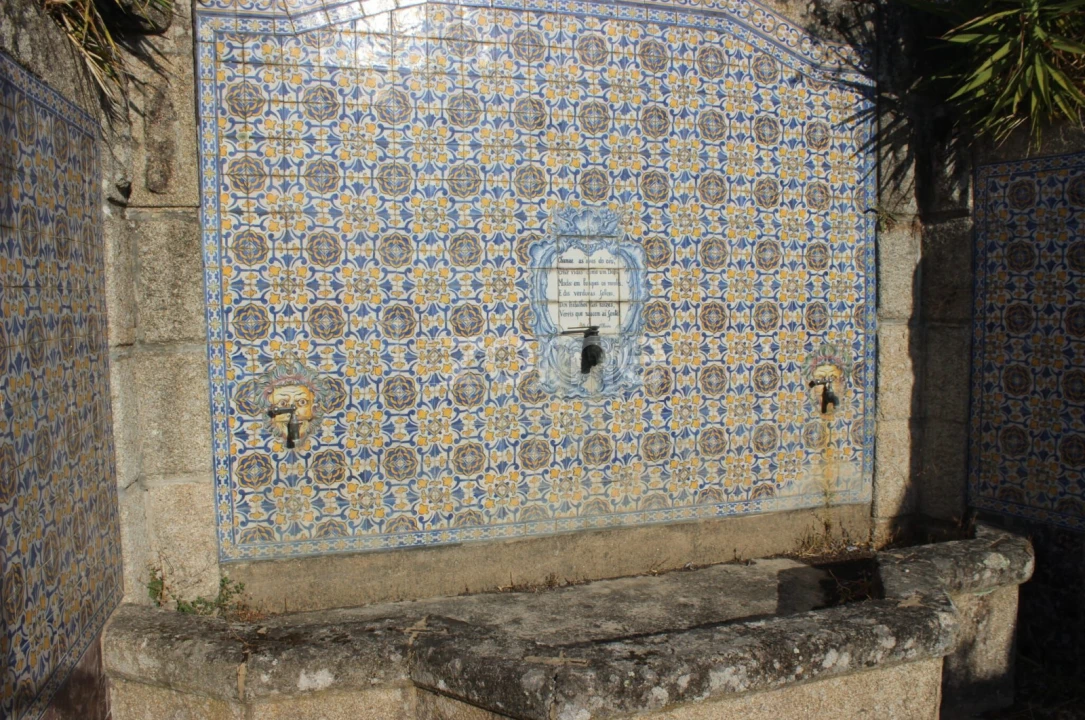 Negócio para Venda em Abrunhosa-A-Velha Foto 48