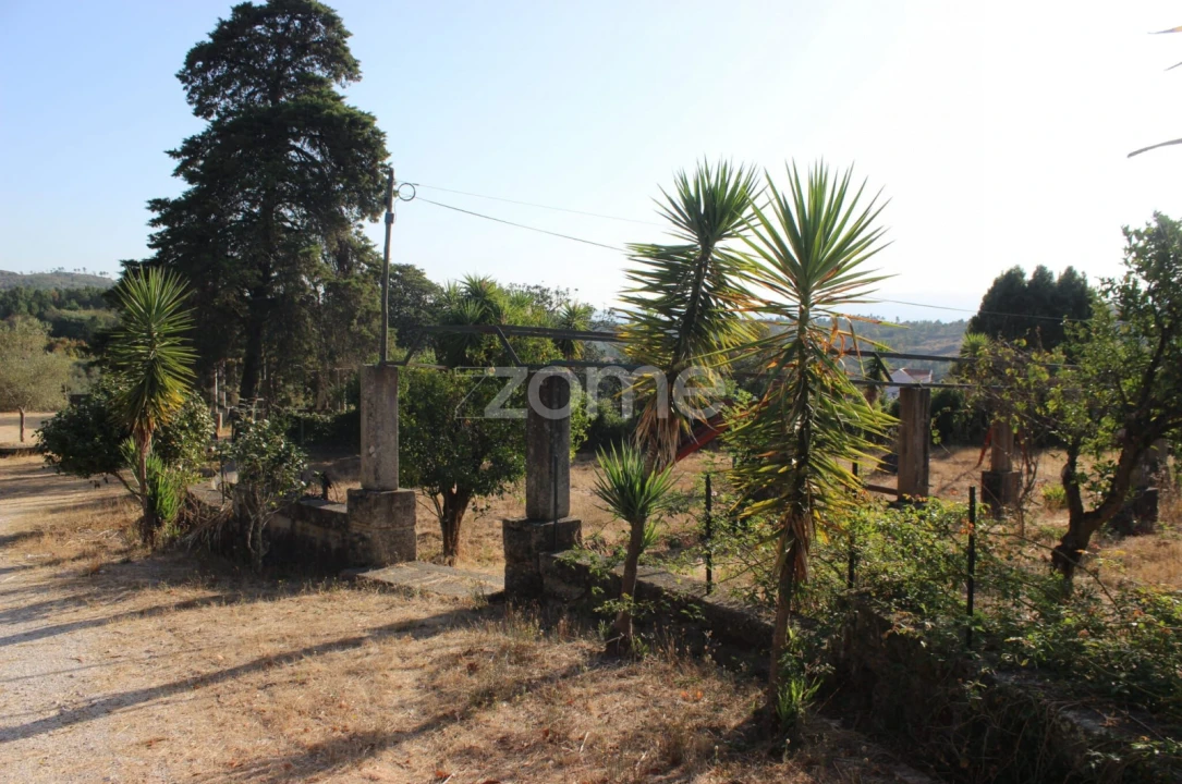 Negócio para Venda em Abrunhosa-A-Velha Foto 50