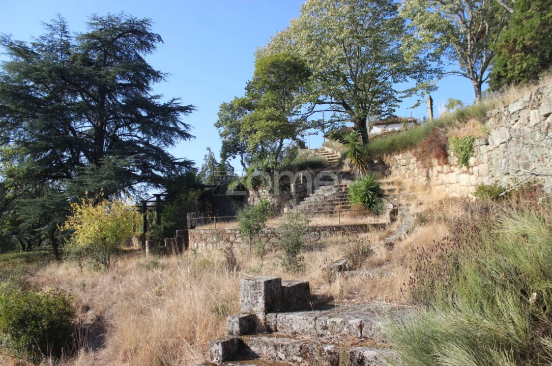 Negócio para Venda em Abrunhosa-A-Velha Foto 64
