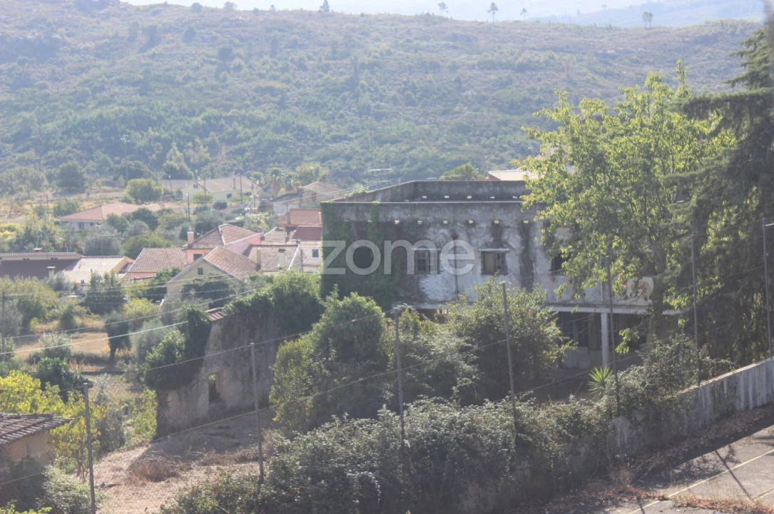 Negócio para Venda em Abrunhosa-A-Velha Foto 75