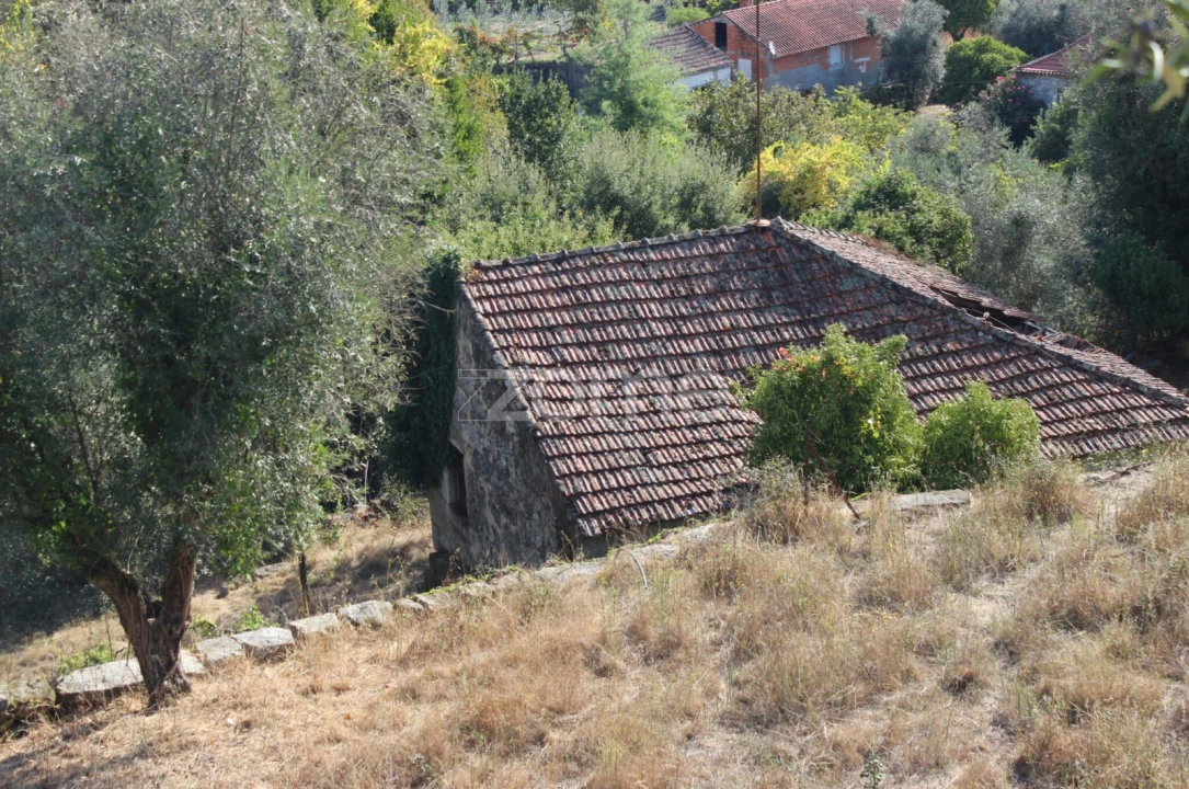 Negócio para Venda em Abrunhosa-A-Velha Foto 67