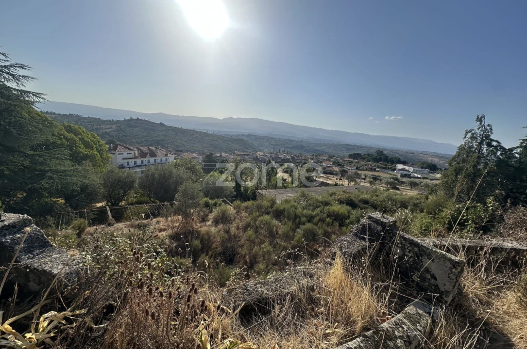 Negócio para Venda em Abrunhosa-A-Velha Foto 19