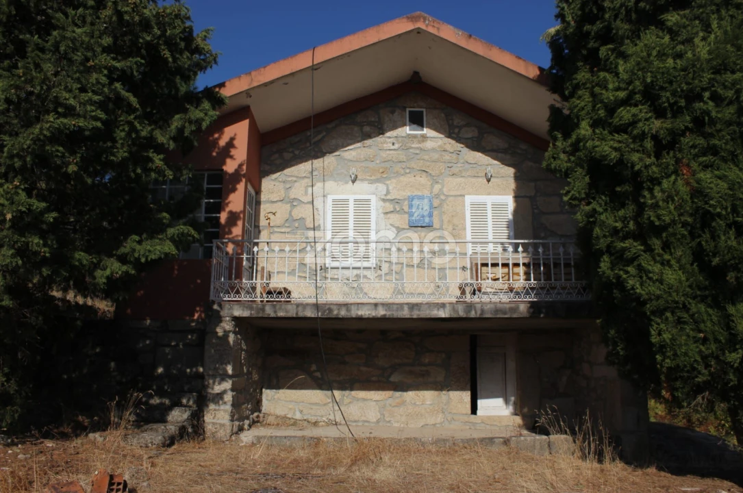 Negócio para Venda em Abrunhosa-A-Velha Foto 68