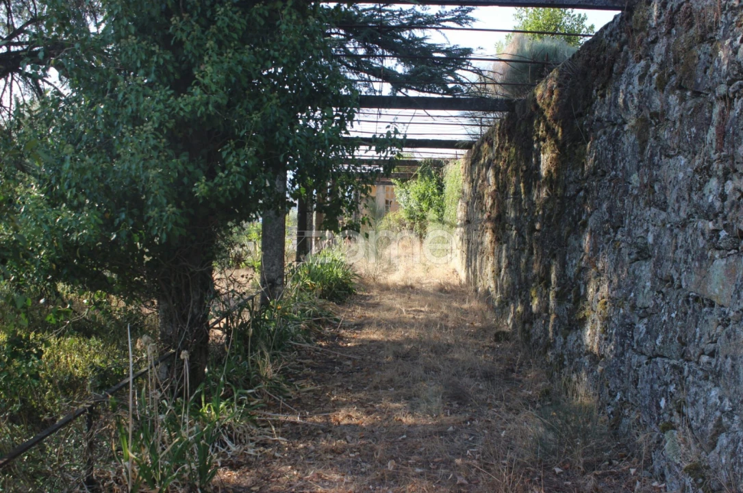 Negócio para Venda em Abrunhosa-A-Velha Foto 41