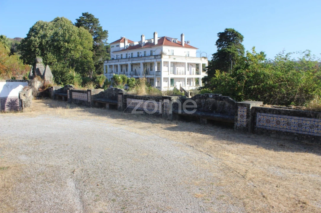 Negócio para Venda em Abrunhosa-A-Velha Foto 38