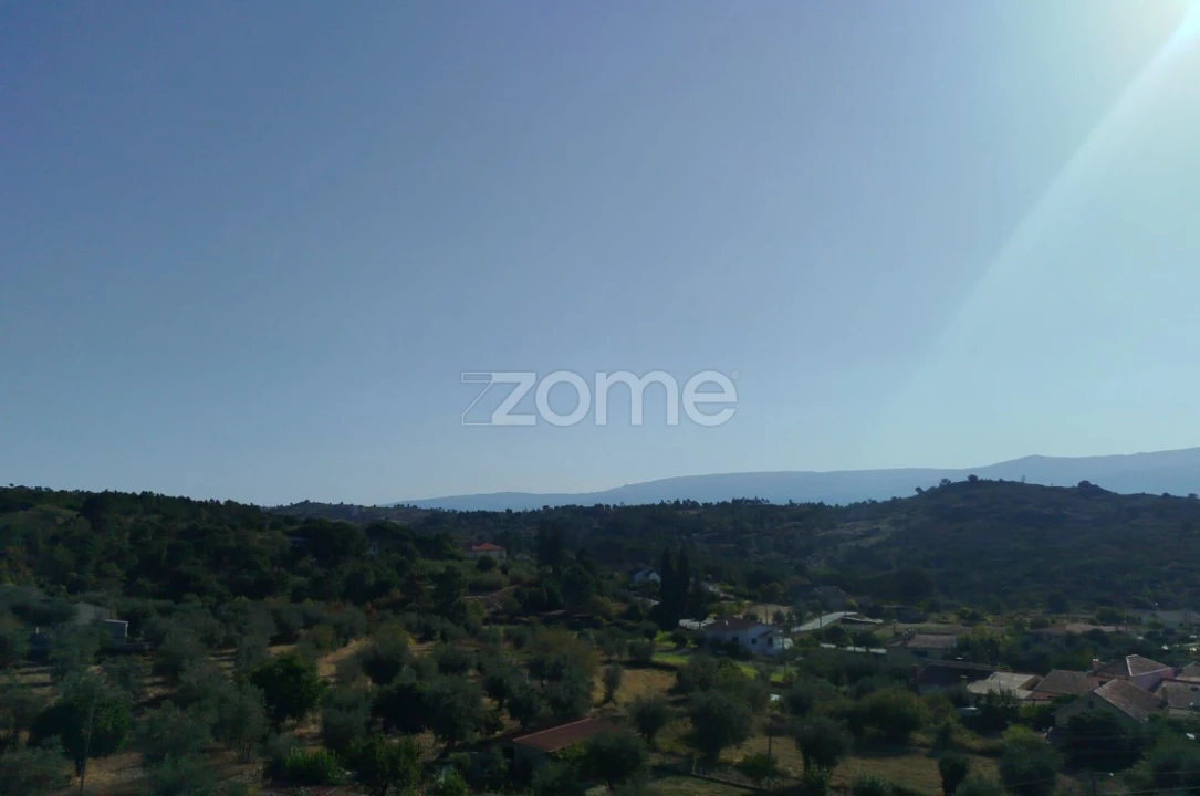 Negócio para Venda em Abrunhosa-A-Velha Foto 15