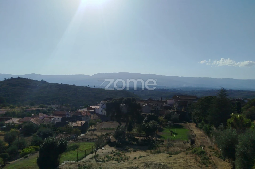 Negócio para Venda em Abrunhosa-A-Velha Foto 8