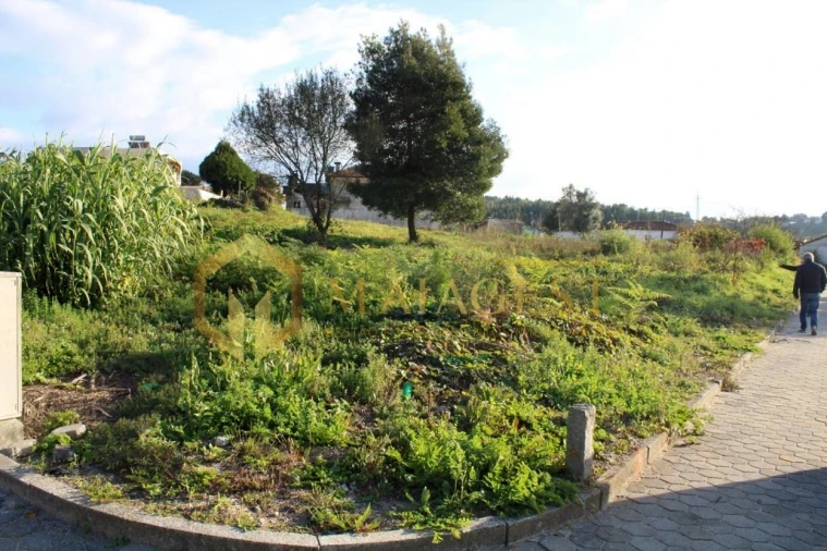 Terreno para Venda em Pedroso e Seixezelo Foto 3