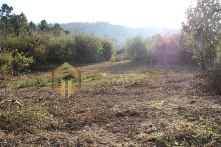 Terreno para Venda em Pedroso e Seixezelo Foto 6