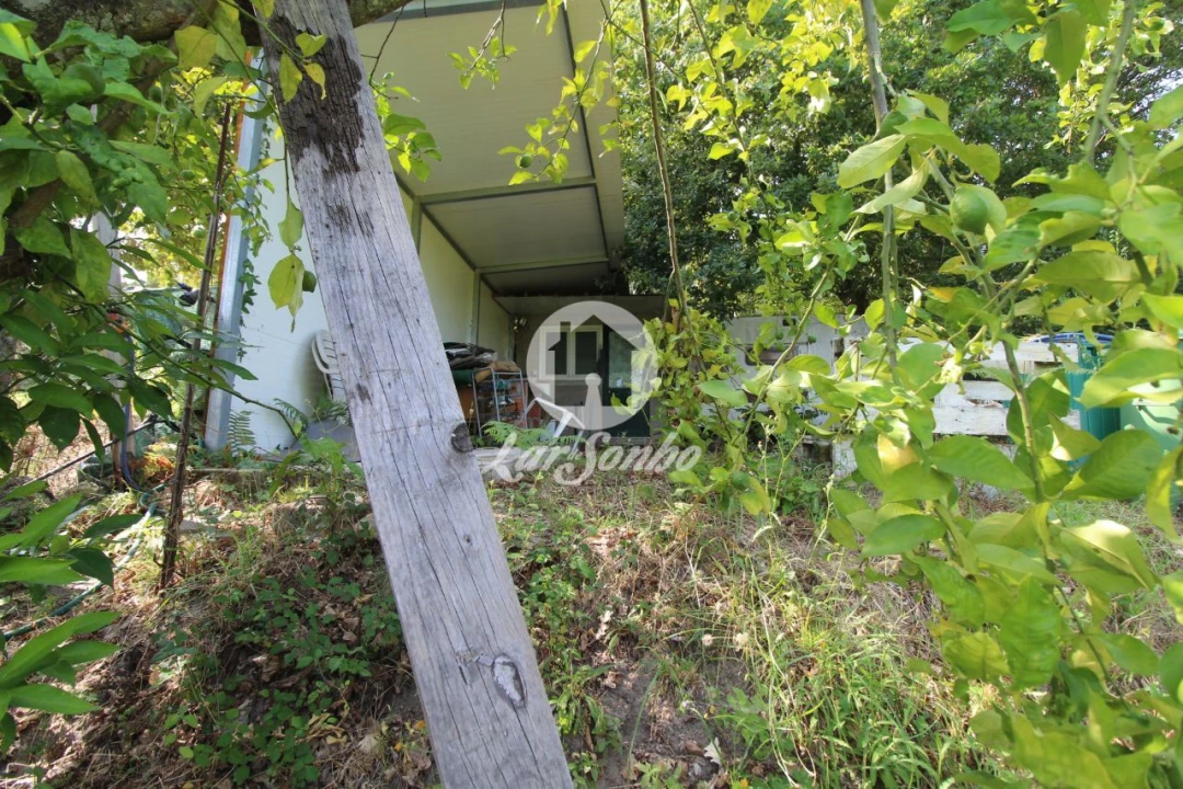 Quinta T3 para Venda em Atiães Foto 5