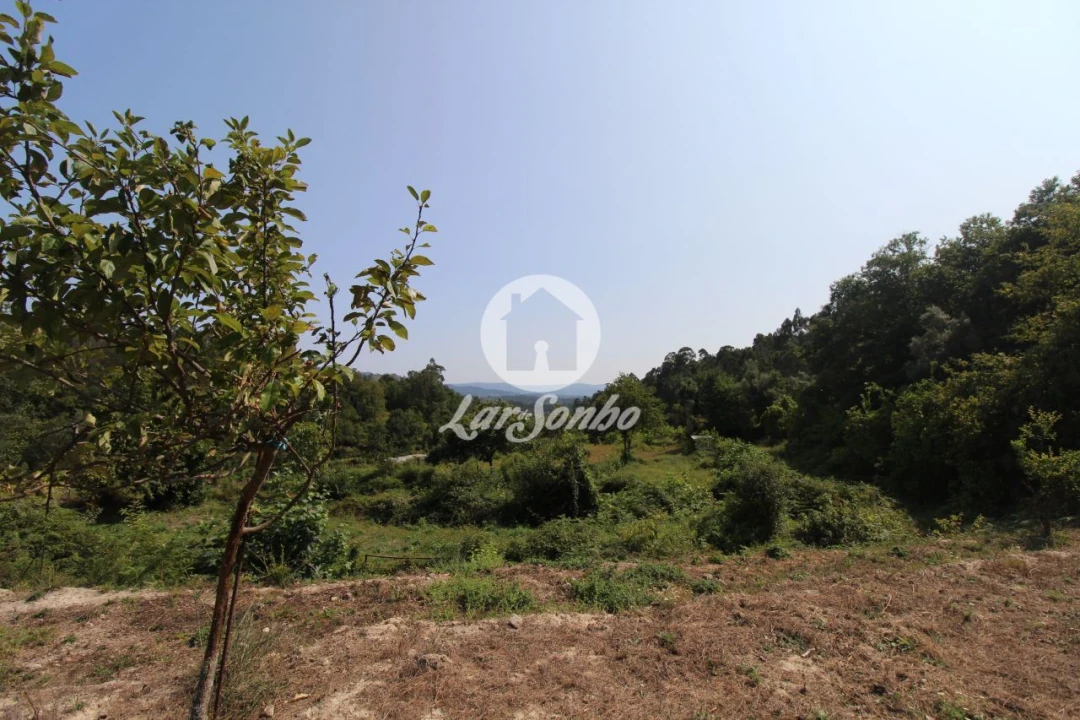 Quinta T3 para Venda em Atiães Foto 9