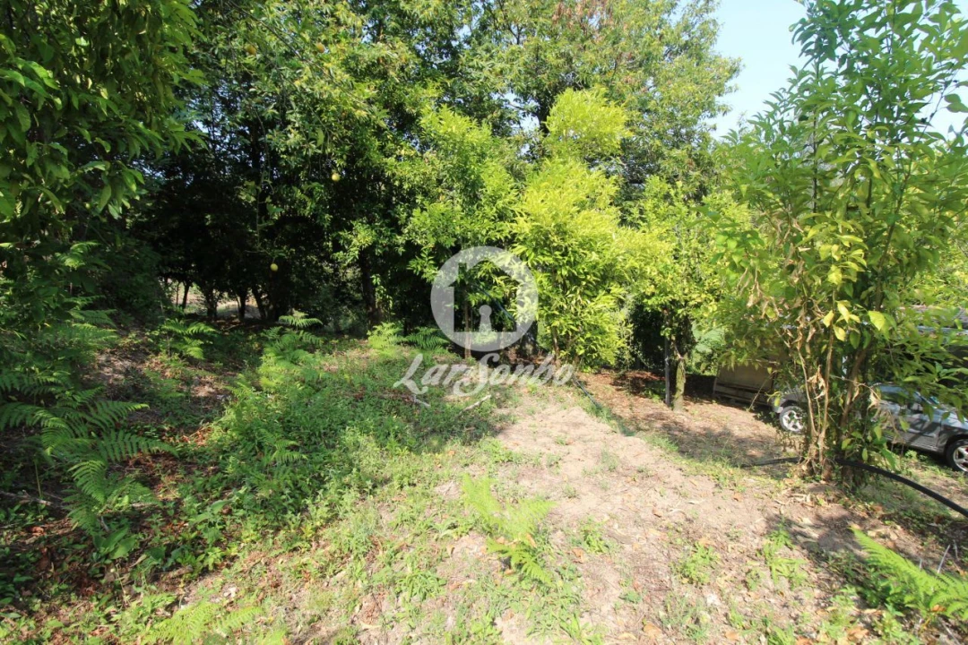 Quinta T3 para Venda em Atiães Foto 10