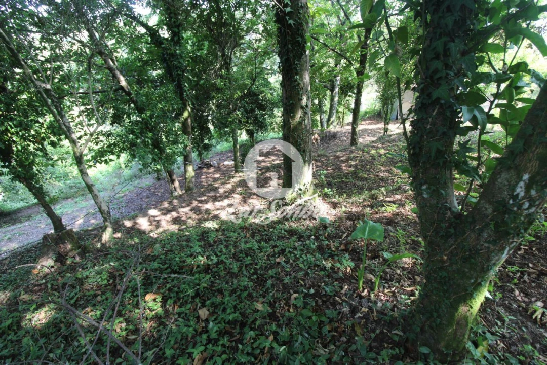 Quinta T3 para Venda em Atiães Foto 12