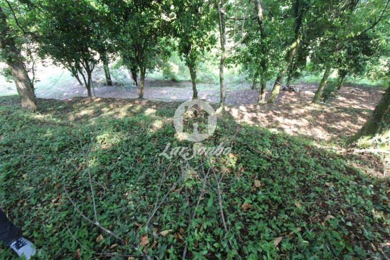 Quinta T3 para Venda em Atiães Foto 13