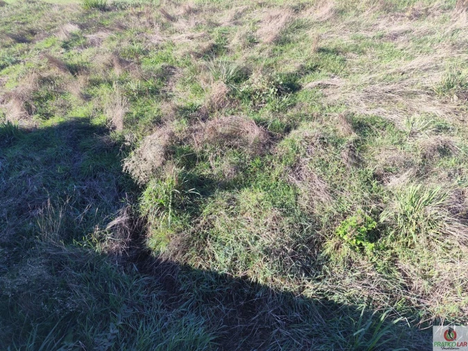 Moradia T4 para Venda em Palhaça Foto 40