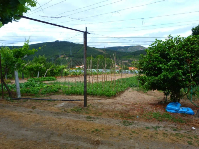 Moradia T2 para Venda em Mondim da Beira Foto 10