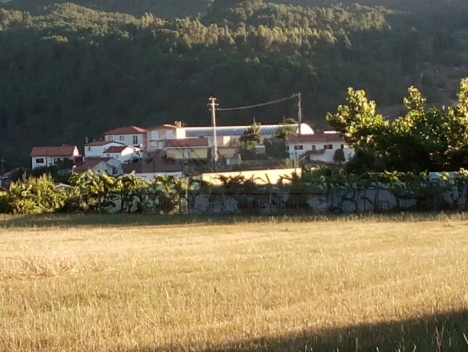 Moradia T2 para Venda em Mondim da Beira Foto 48