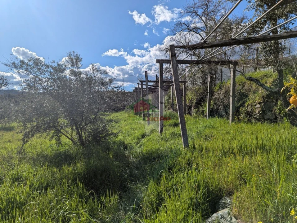 Quinta T4 para Venda em Oleiros-Amieira Foto 41