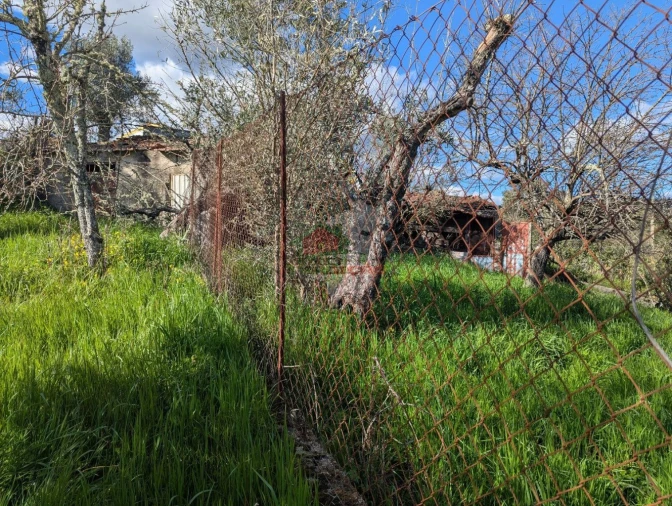 Quinta T4 para Venda em Oleiros-Amieira Foto 40