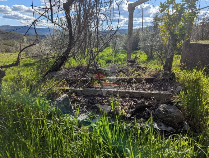 Quinta T4 para Venda em Oleiros-Amieira Foto 42