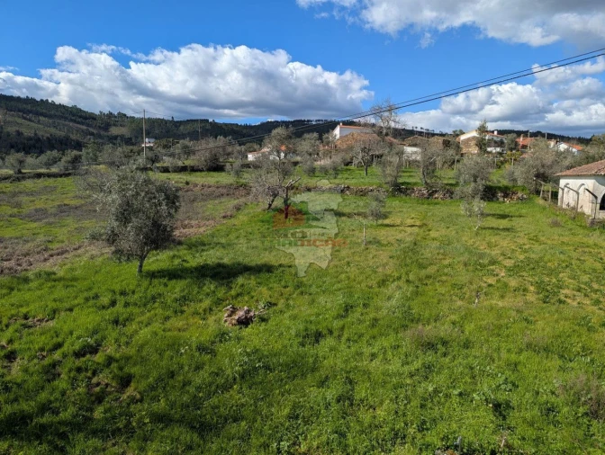 Quinta T4 para Venda em Oleiros-Amieira Foto 3