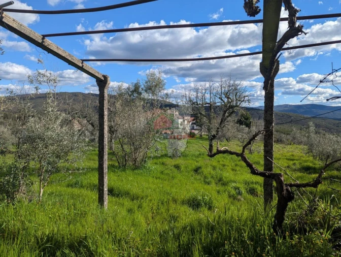 Quinta T4 para Venda em Oleiros-Amieira Foto 43