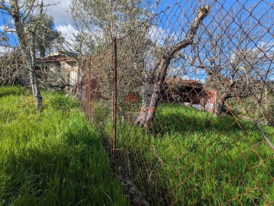 Quinta T4 para Venda em Oleiros-Amieira Foto 40