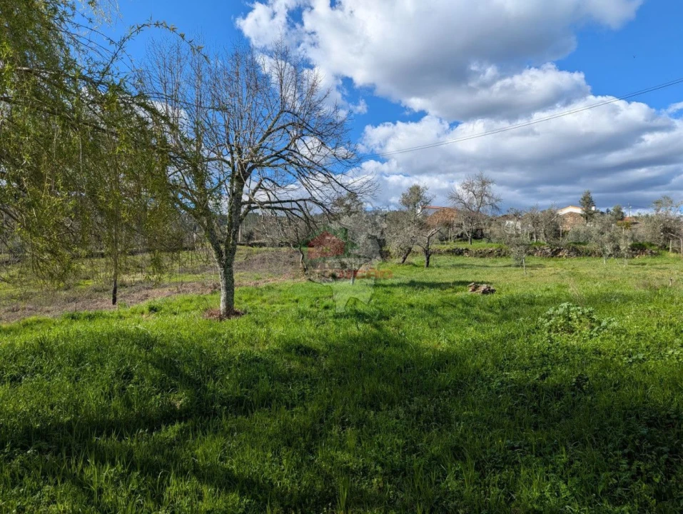 Quinta T4 para Venda em Oleiros-Amieira Foto 33