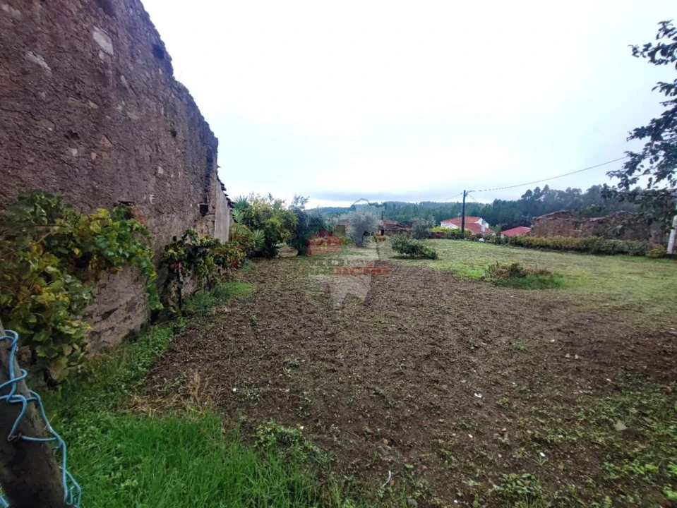 Terreno para Venda em Proença-A-Nova e Peral Foto 9