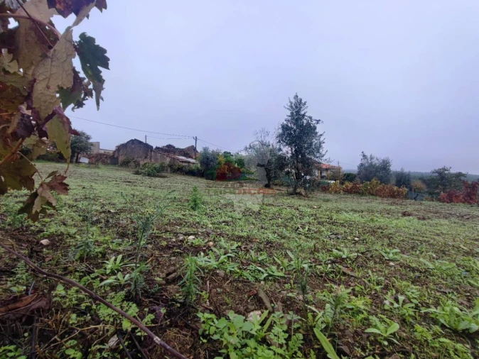 Terreno para Venda em Proença-A-Nova e Peral Foto 4