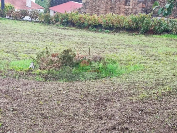 Terreno para Venda em Proença-A-Nova e Peral Foto 8