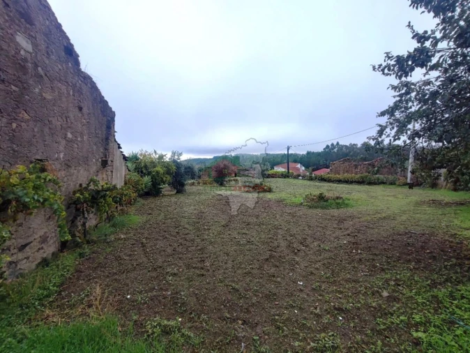Terreno para Venda em Proença-A-Nova e Peral Foto 10