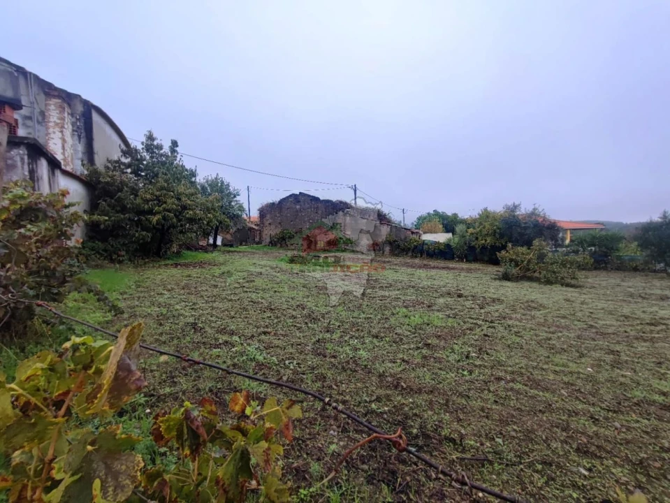 Terreno para Venda em Proença-A-Nova e Peral Foto 2