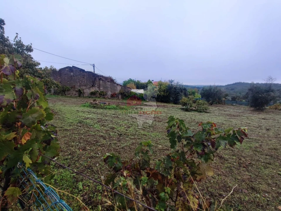 Terreno para Venda em Proença-A-Nova e Peral Foto 5