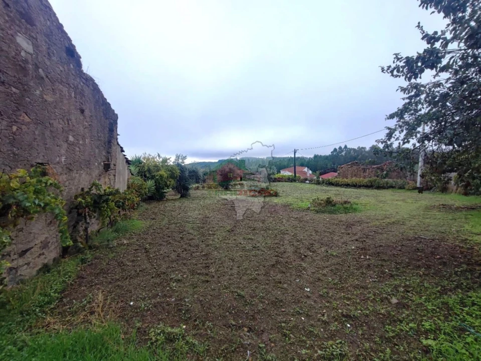 Terreno para Venda em Proença-A-Nova e Peral Foto 10