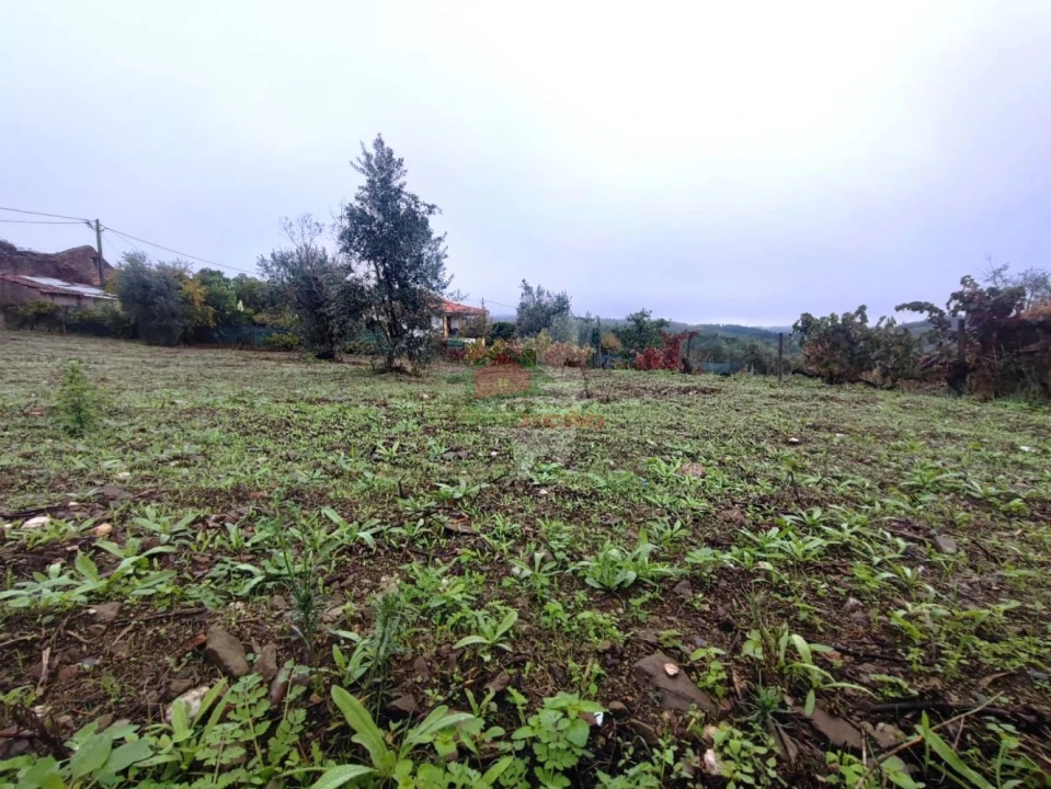 Terreno para Venda em Proença-A-Nova e Peral Foto 3