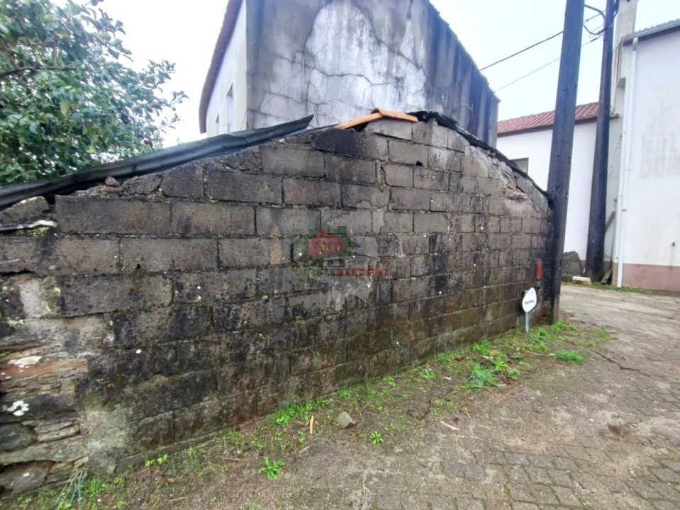 Terreno para Venda em Proença-A-Nova e Peral Foto 7