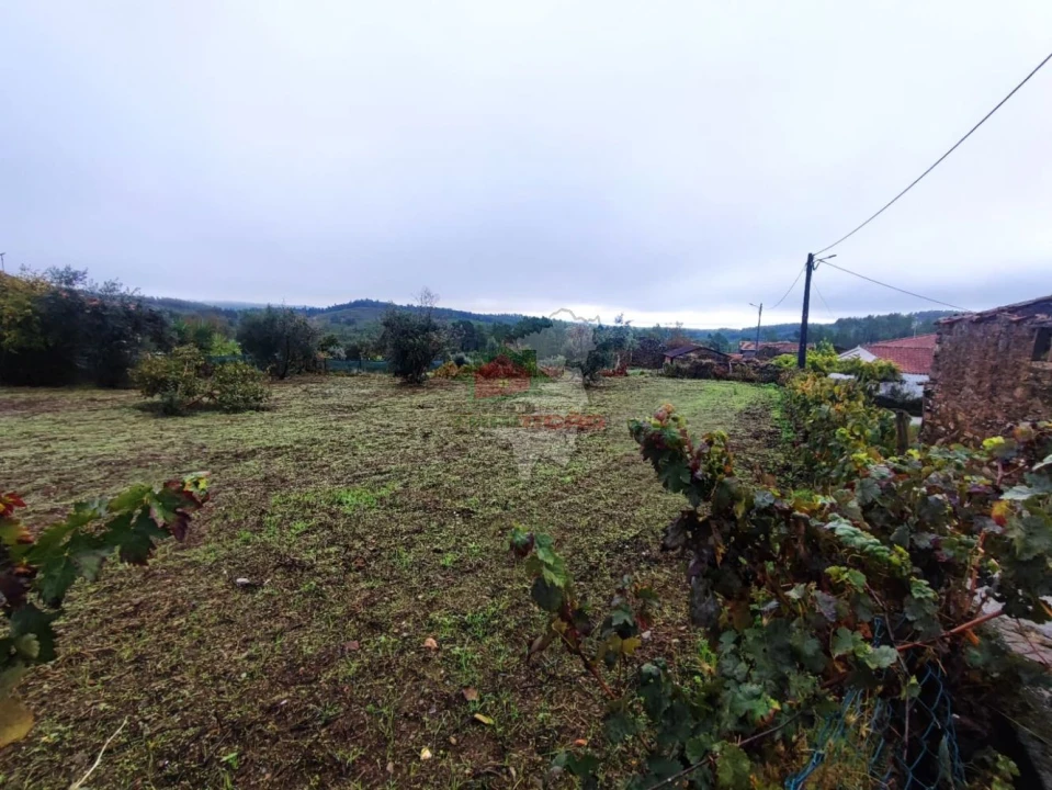Terreno para Venda em Proença-A-Nova e Peral Foto 6