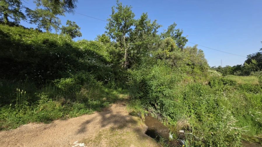 Terreno para Venda em Casais e Alviobeira Foto 10