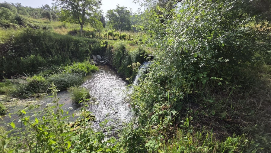 Terreno para Venda em Casais e Alviobeira Foto 8