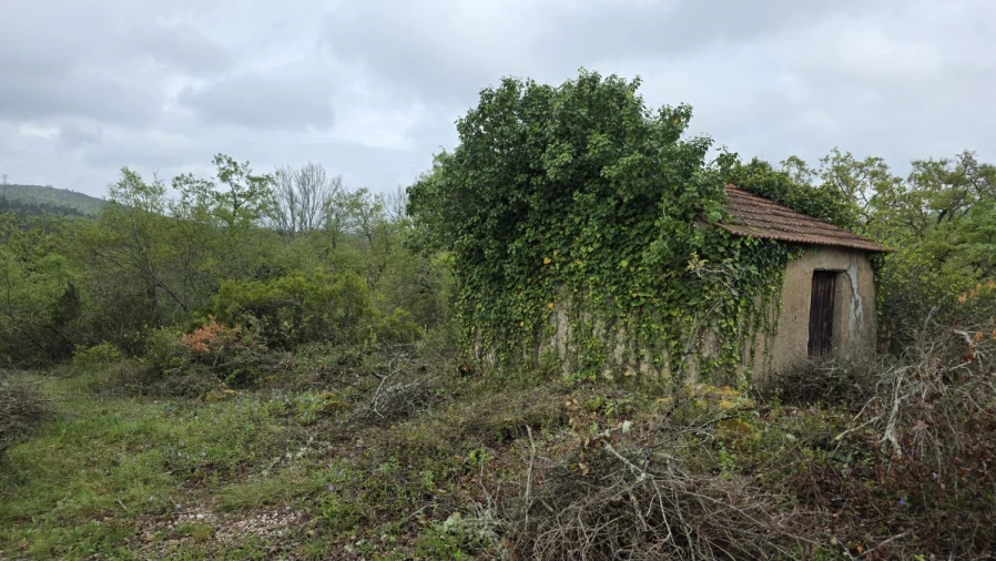 Terreno para Venda em Casais e Alviobeira Foto 2