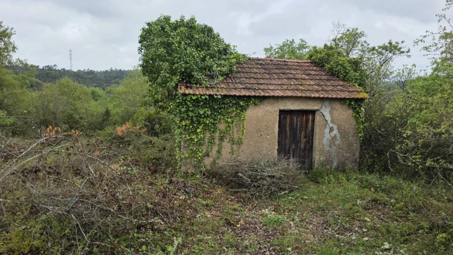 Terreno para Venda em Casais e Alviobeira Foto 3
