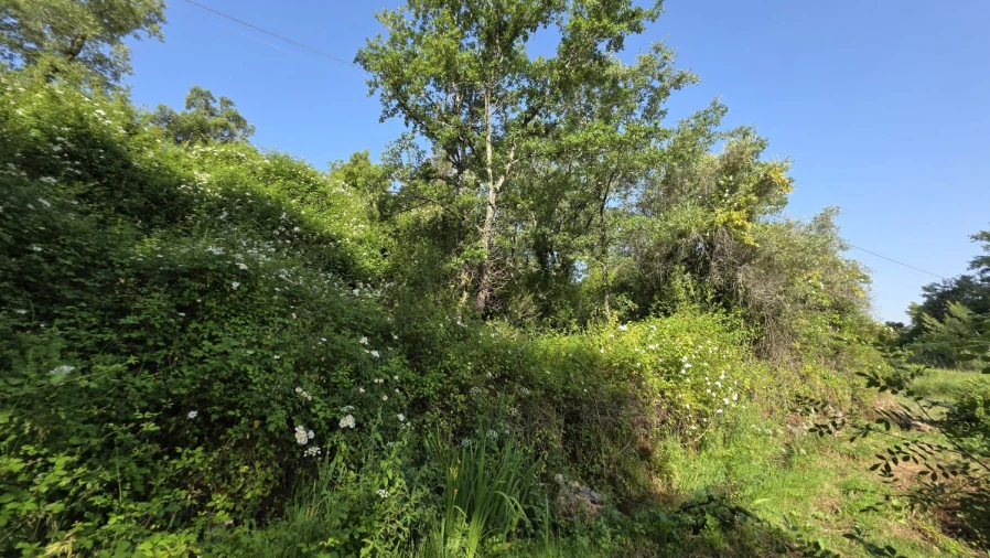 Terreno para Venda em Casais e Alviobeira Foto 9