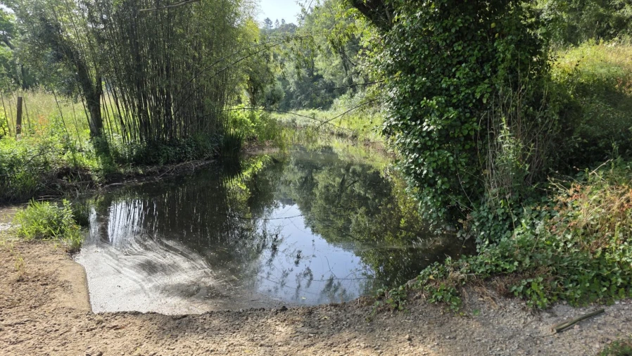 Terreno para Venda em Casais e Alviobeira Foto 12